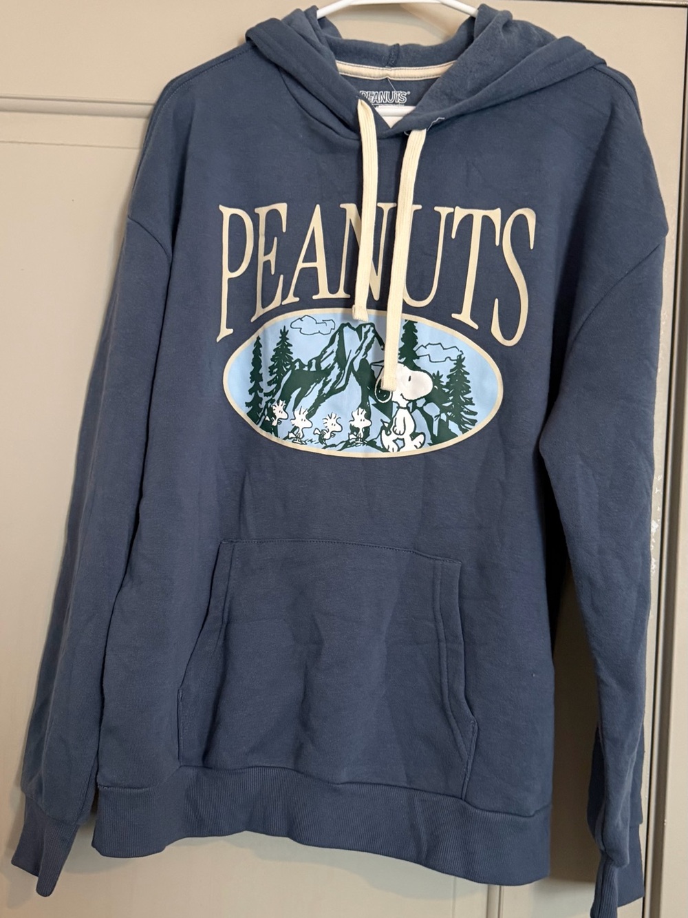 Peanuts Navy Graphic Pullover Hoodie with Forest Print